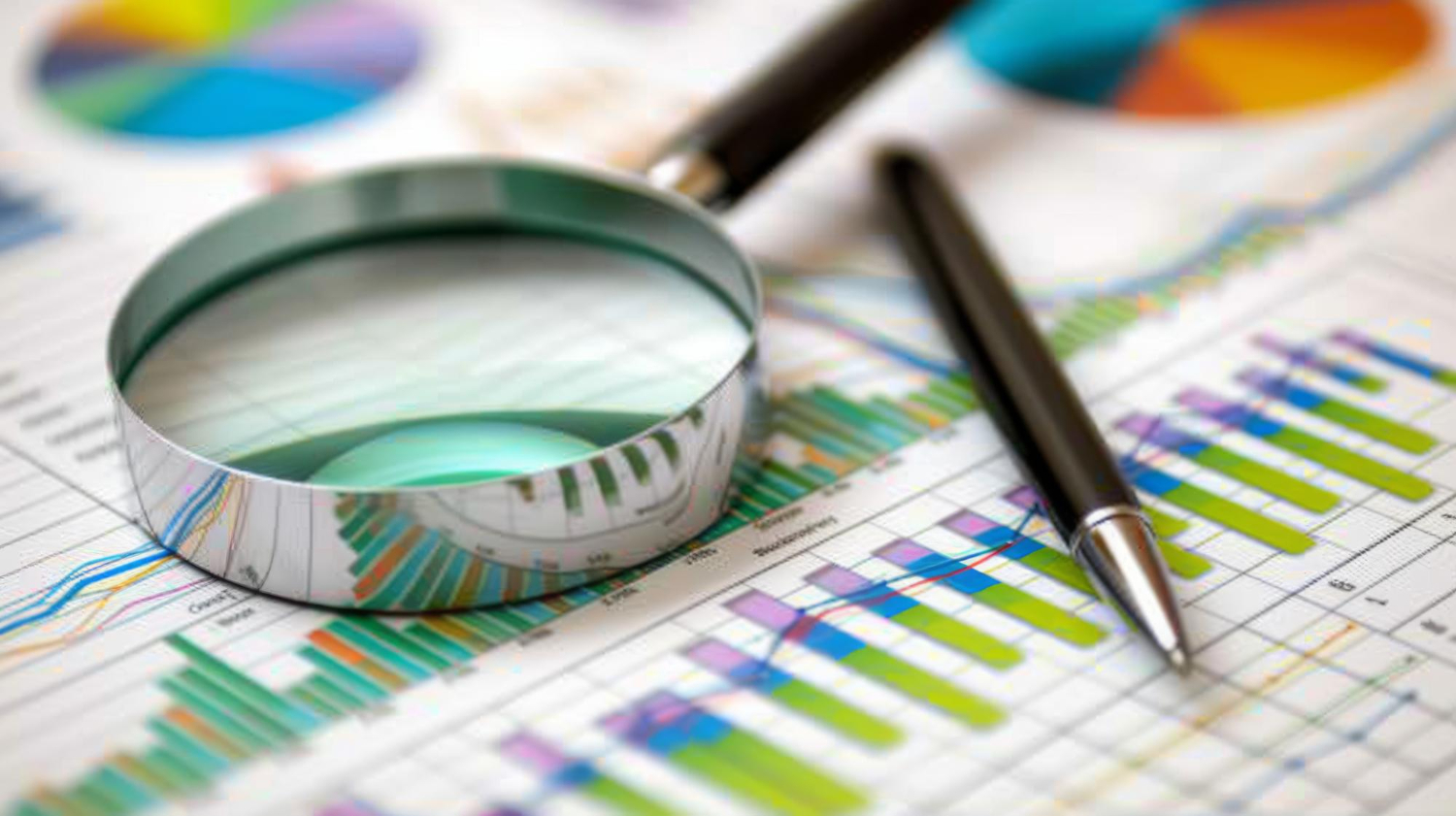 חוות דעת כלכלית