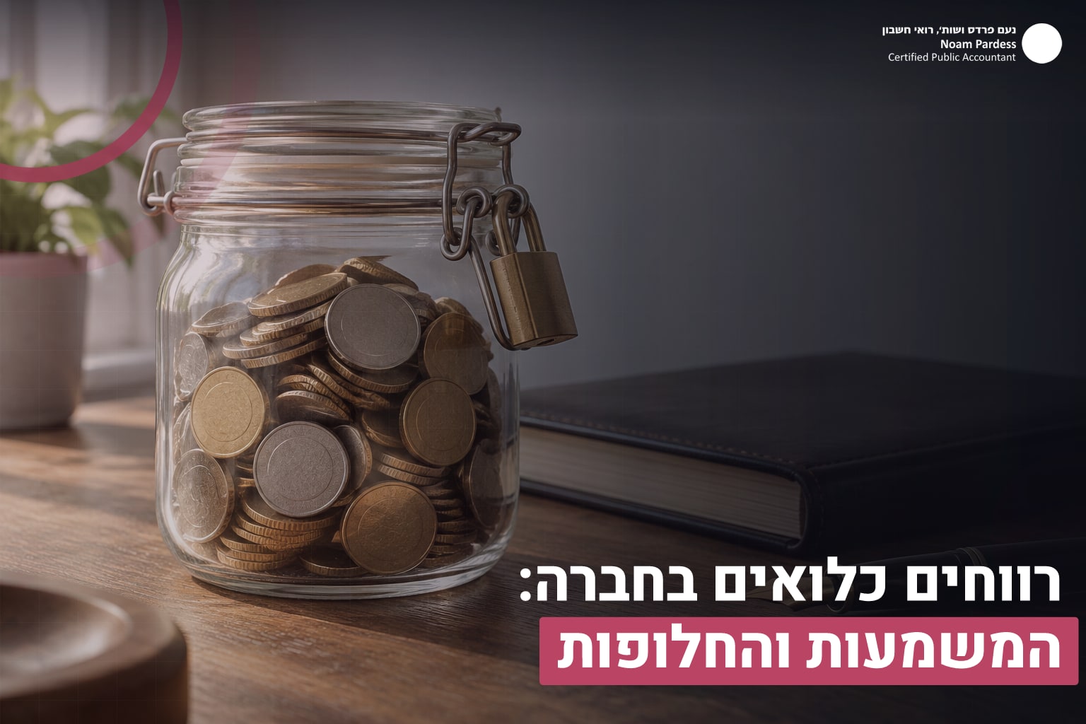 רווחים כלואים
